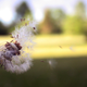 Image for article titled Shooting Challenge: 1/1000 Gallery 2